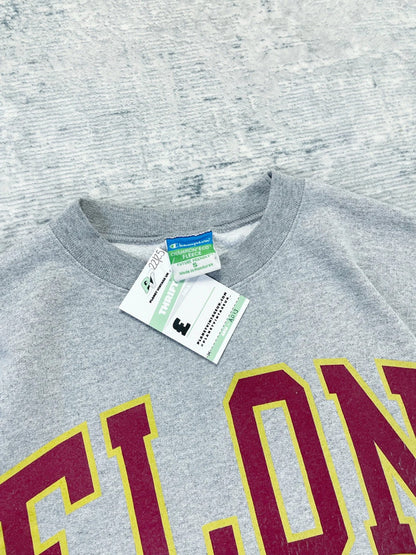 Vintage 90s Champion Baggy College Sweatshirt